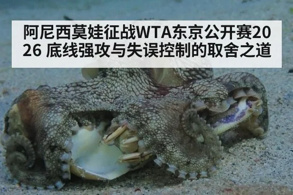 阿尼西莫娃征战WTA东京公开赛2026 底线强攻与失误控制的取舍之道